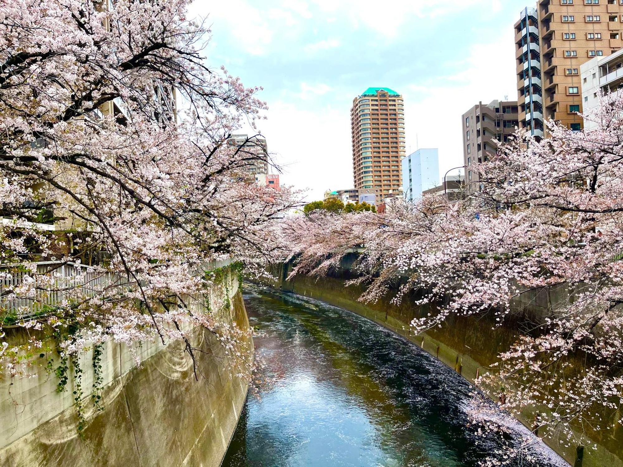 Appartamento Nearest Sta 4mins!nr Ikebukuro,shinjuku,shibuya! *